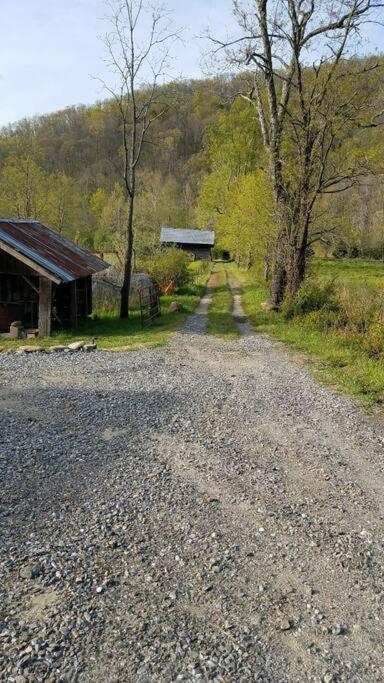 Country Mountain Escape! Villa Barnardsville Dış mekan fotoğraf