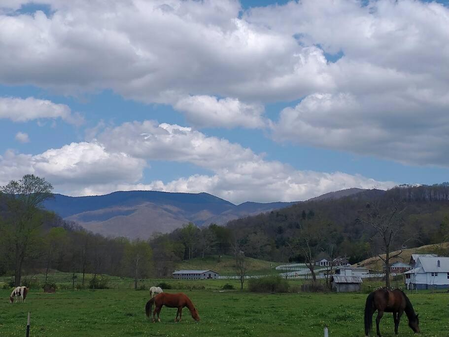 Country Mountain Escape! Villa Barnardsville Dış mekan fotoğraf