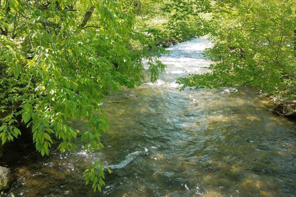Country Mountain Escape! Villa Barnardsville Dış mekan fotoğraf