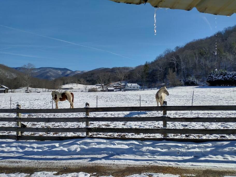 Country Mountain Escape! Villa Barnardsville Dış mekan fotoğraf