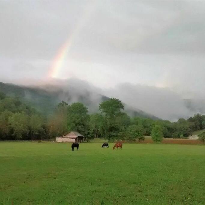 Country Mountain Escape! Villa Barnardsville Dış mekan fotoğraf