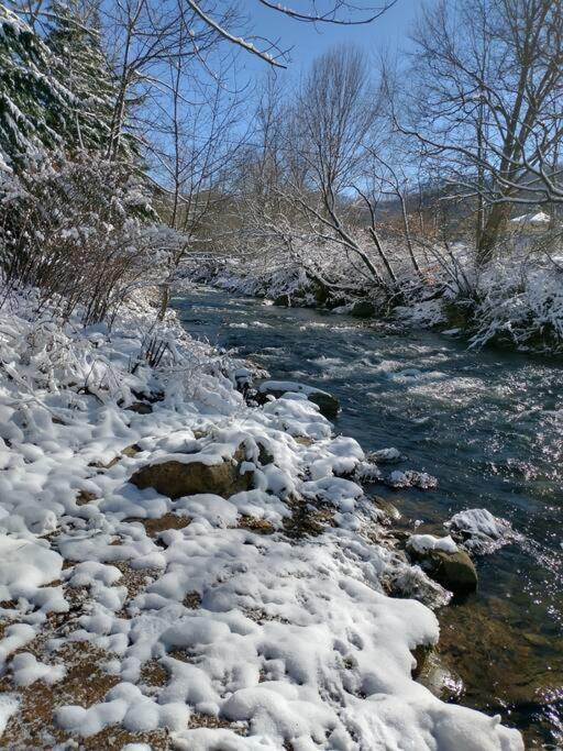 Country Mountain Escape! Villa Barnardsville Dış mekan fotoğraf