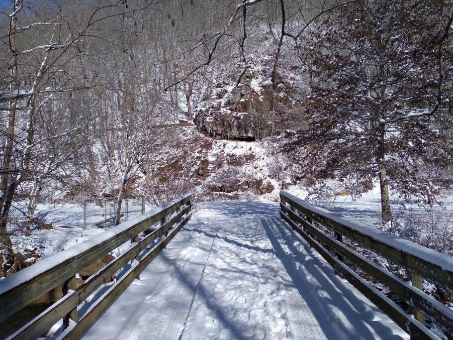 Country Mountain Escape! Villa Barnardsville Dış mekan fotoğraf