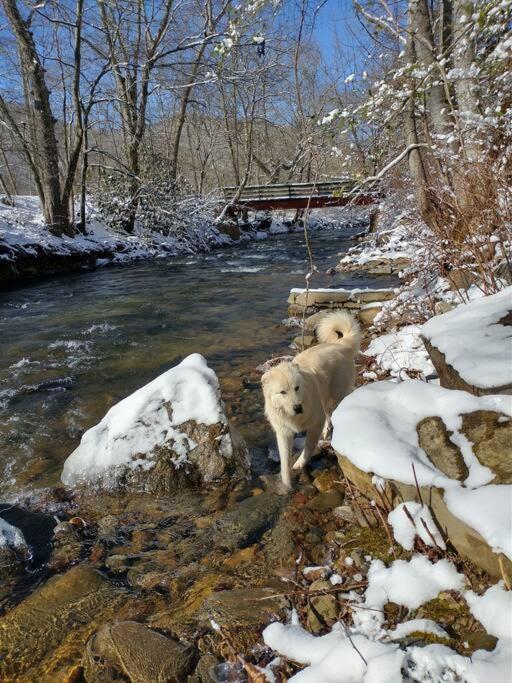Country Mountain Escape! Villa Barnardsville Dış mekan fotoğraf
