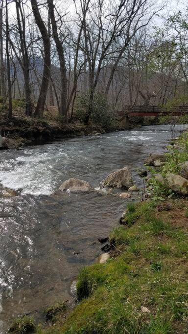Country Mountain Escape! Villa Barnardsville Dış mekan fotoğraf