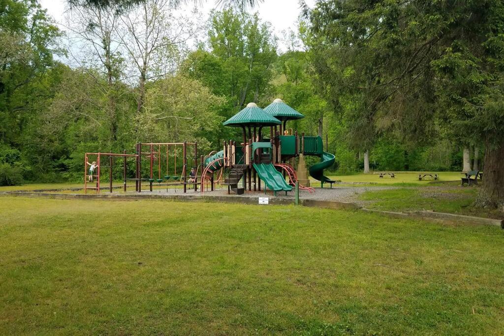 Country Mountain Escape! Villa Barnardsville Dış mekan fotoğraf