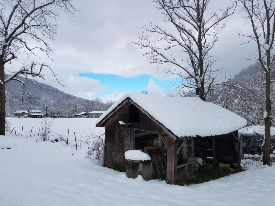 Country Mountain Escape! Villa Barnardsville Dış mekan fotoğraf